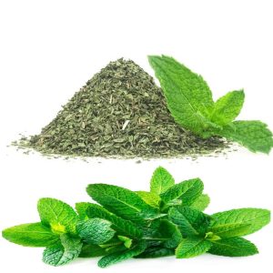 Dried Mint Ashour BULK