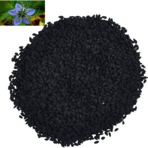 Black Seeds Bulk (Nigella sativa) Ashour