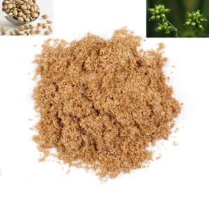 Coriander Ground Bulk Ashour