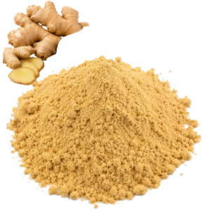 Ginger Ground Bulk Ashour
